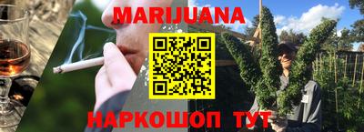спиды Гай