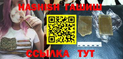 спиды Гай